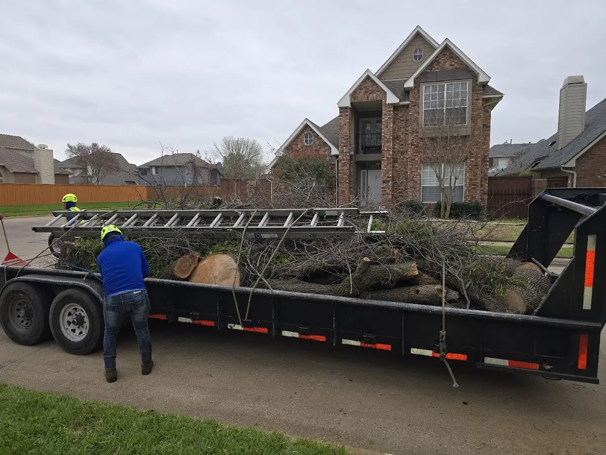 Expert Tree Pest Control with proper safety equipment in Capac